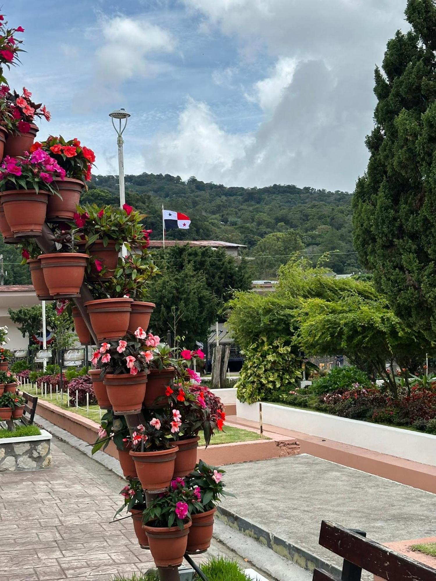 La Casa De Dona Cata Hotel Bajo Boquete Екстериор снимка